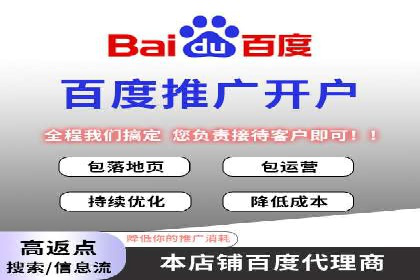 竞价排名案例：优化广告预算分配